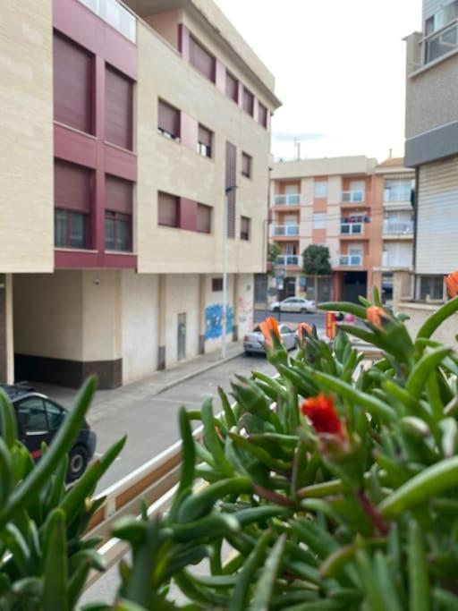 Voulez Vous Numero Uno San Pedro del Pinatar Eksteriør billede
